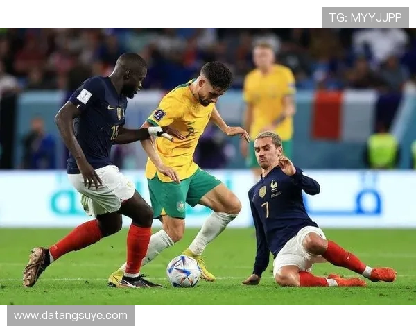 潘帕斯雄鹰阵容解析世界杯征程与战术核心全景解读新老融合与冠军基因